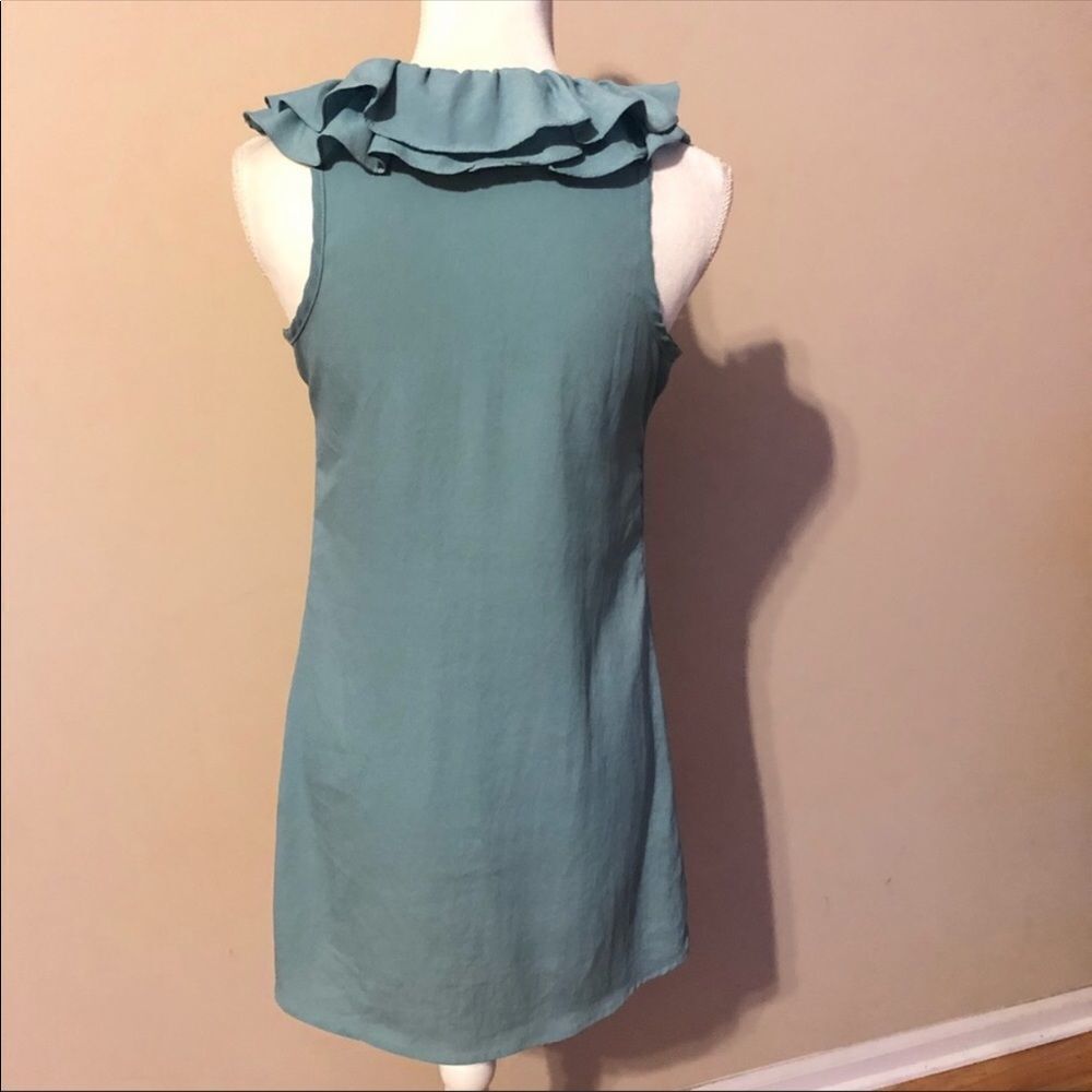 ⭐️ Pins And Needles Ruffle Dress - Picture 4 of 6